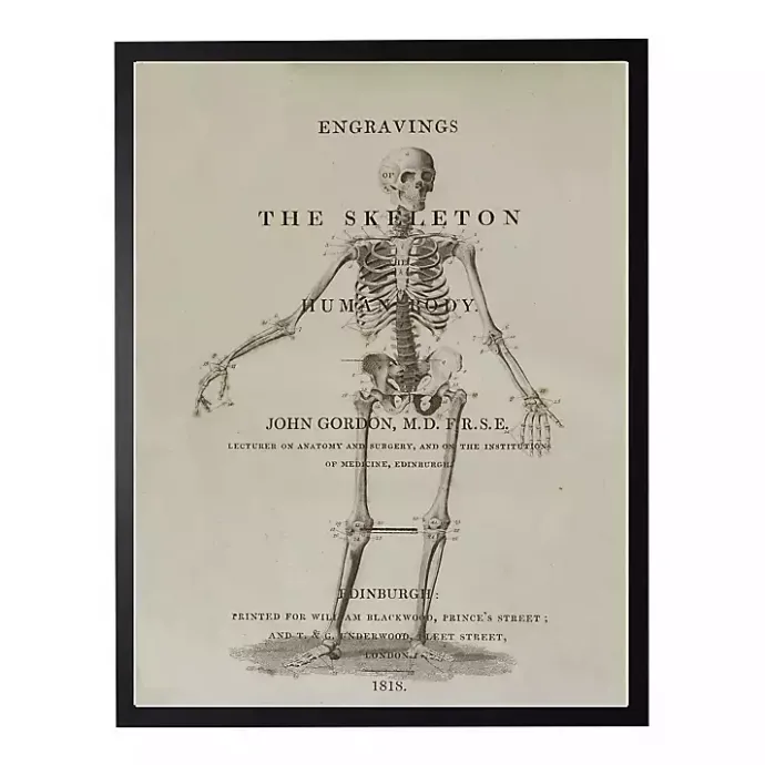 Outlet Kirklands Home Skeleton Framed Halloween Wall Art