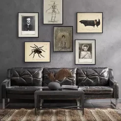 Outlet Kirklands Home Skeleton Framed Halloween Wall Art