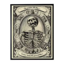 Best Kirklands Home Skeleton Portrait Framed Halloween Wall Plaque
