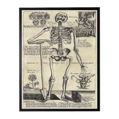 Online Kirklands Home Skeleton Poster Framed Halloween Wall Plaque