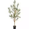 Outlet Kirklands Home Slender Olive Branch Tree in Nursery Planter