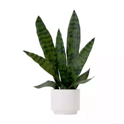 Online Kirklands Home Snake Plant Arrangement in White Planter