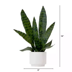 Online Kirklands Home Snake Plant Arrangement in White Planter