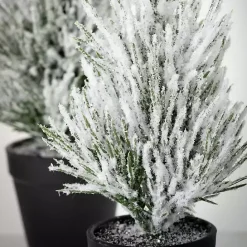 Clearance Kirklands Home Snowy Potted Mini Pine Trees, Set of 2