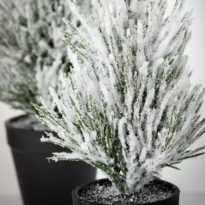 Clearance Kirklands Home Snowy Potted Mini Pine Trees, Set of 2