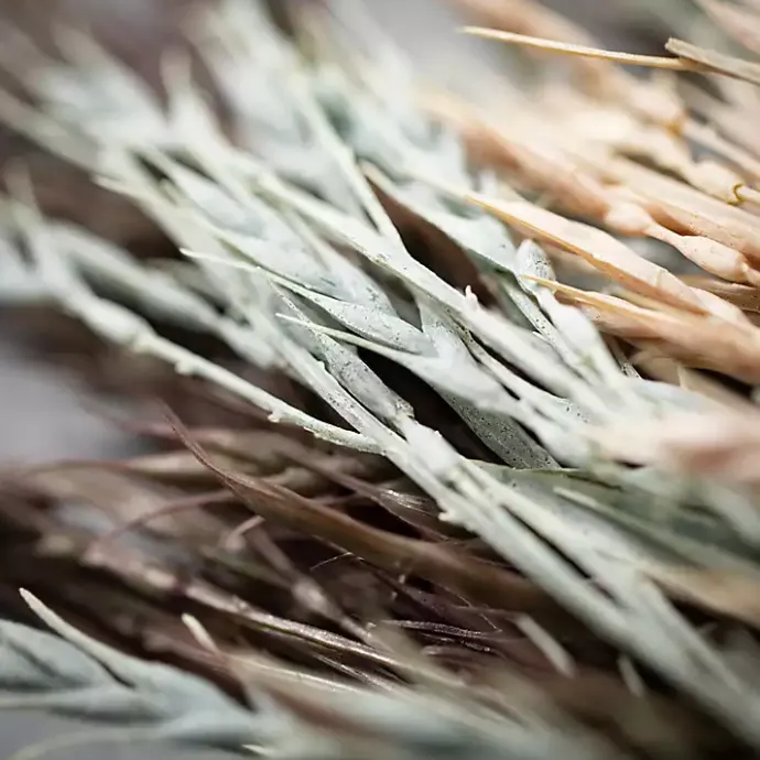 New Kirklands Home Soft Hues Wheat Sprays, Set of 3