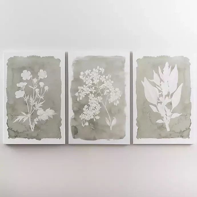 Online Kirklands Home Springtime Bloom III Canvas Art Print