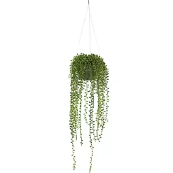Online Kirklands Home String of Pearl Plant in Hanging Planter Green