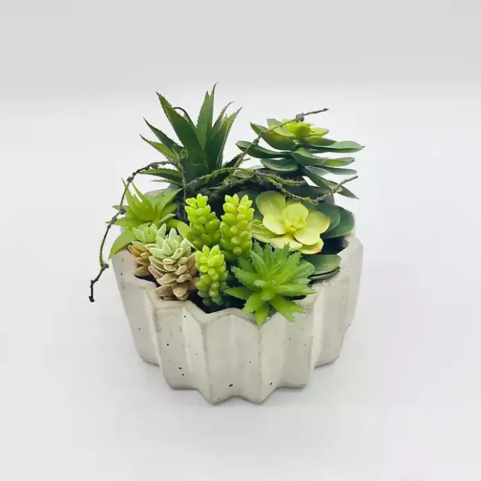 Clearance Kirklands Home Succulent Arrangement in Zig-Zag Gray Planter