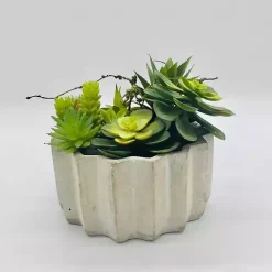 Clearance Kirklands Home Succulent Arrangement in Zig-Zag Gray Planter