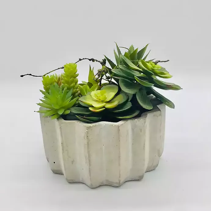 Clearance Kirklands Home Succulent Arrangement in Zig-Zag Gray Planter