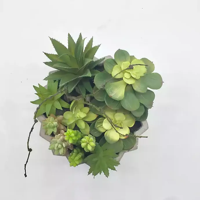 Clearance Kirklands Home Succulent Arrangement in Zig-Zag Gray Planter
