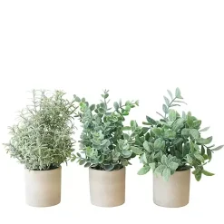 Sale Kirklands Home Succulent Arrangements in Cement Pots, Set of 3