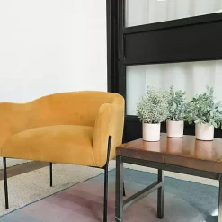 Sale Kirklands Home Succulent Arrangements in Cement Pots, Set of 3