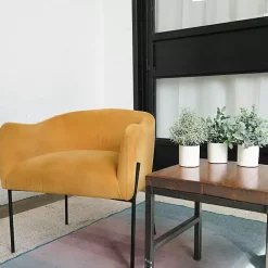 Online Kirklands Home Succulent Arrangements in Ceramic Pots, Set of 3