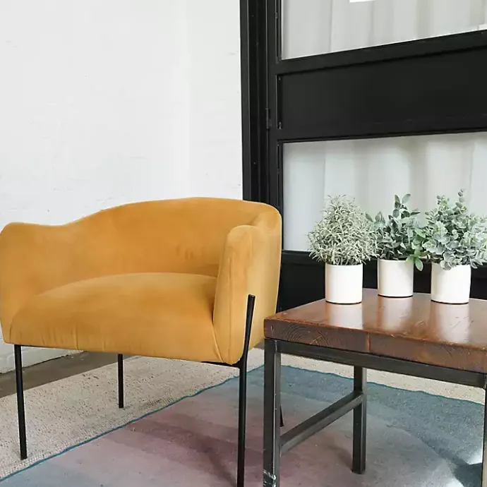 Online Kirklands Home Succulent Arrangements in Ceramic Pots, Set of 3