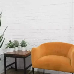 Online Kirklands Home Succulent Arrangements in Ceramic Pots, Set of 3