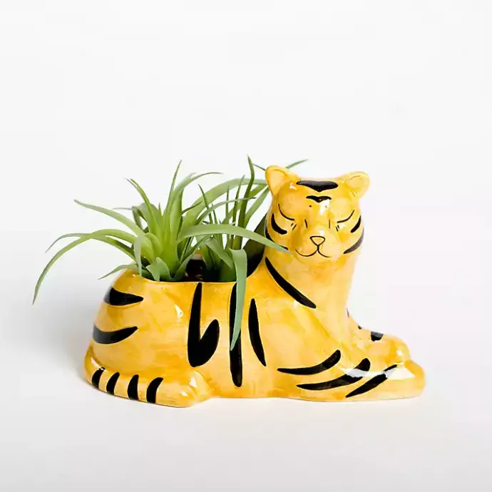 Online Kirklands Home Succulent in Tiger Planter