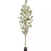 Outlet Kirklands Home Tall Potted Olive Branch Tree, 82 in.
