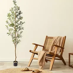 Outlet Kirklands Home Tall Potted Olive Branch Tree, 82 in.