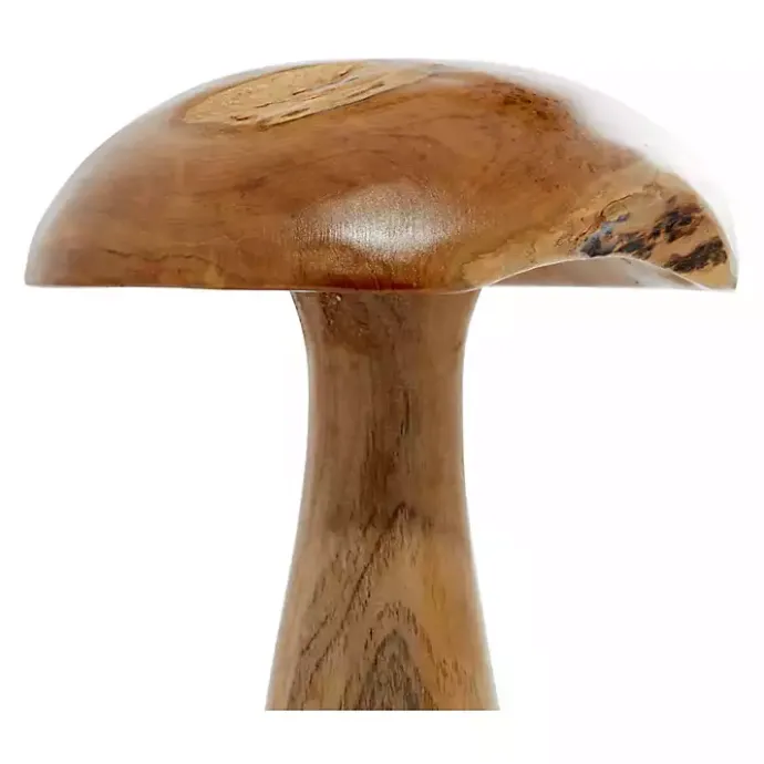Outlet Kirklands Home Teakwood Mushroom 3-pc. Sculpture Set Brown