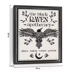 Hot Kirklands Home The Black Raven Apothecary Framed Canvas Art Print