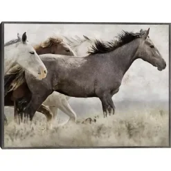 Kirklands Home Thunder Ridge Distressed Framed Canvas Art Print Gray