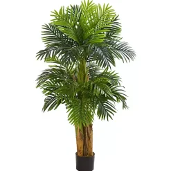 Clearance Kirklands Home Triple Areca Palm Tree, 5 ft.