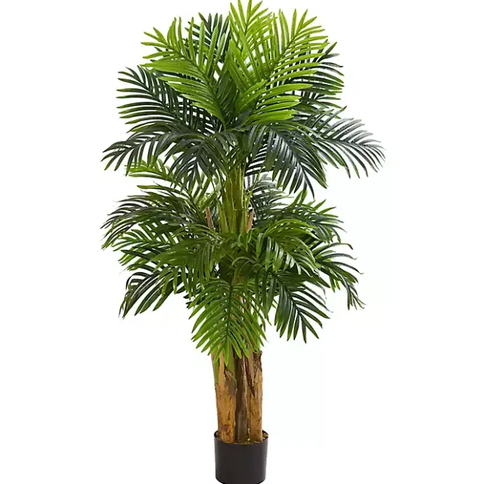Clearance Kirklands Home Triple Areca Palm Tree, 5 ft.