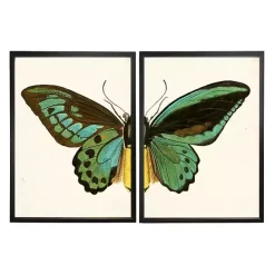 Clearance Kirklands Home Turquoise Butterfly Framed Art Prints, Set of 2 Multi