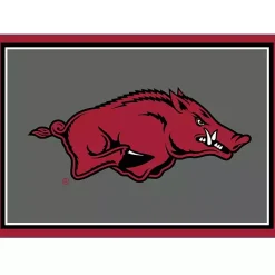 Outlet Kirklands Home University of Arkansas Area Rug, 3x4