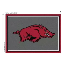 Outlet Kirklands Home University of Arkansas Area Rug, 3x4