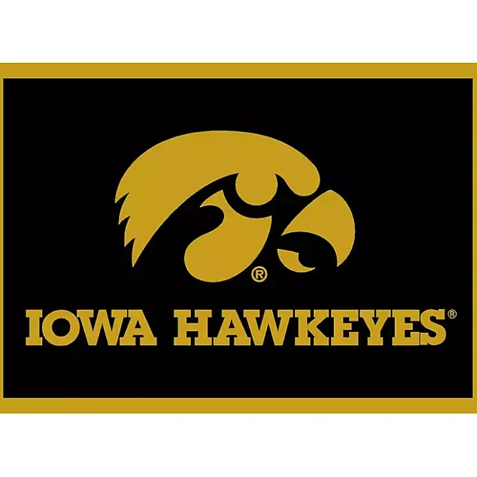 Best Kirklands Home University of Iowa Area Rug, 4x6