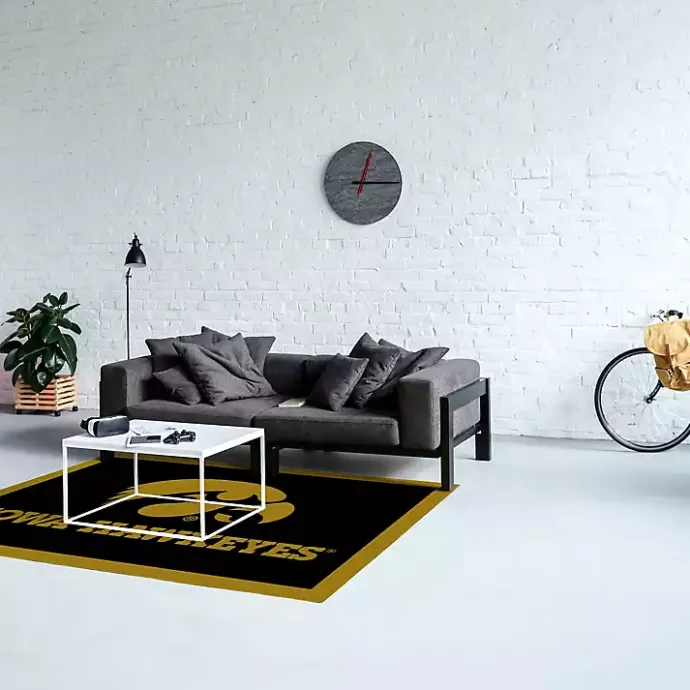 Best Kirklands Home University of Iowa Area Rug, 4x6