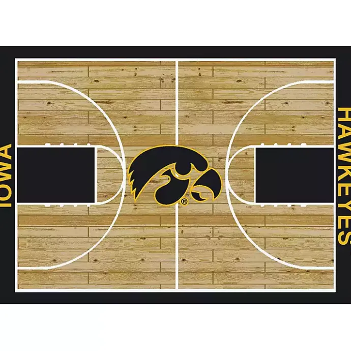 Best Kirklands Home University of Iowa Courtside Area Rug, 4x6