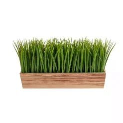 Outlet Kirklands Home Vanilla Grass in Rustic Wood Planter