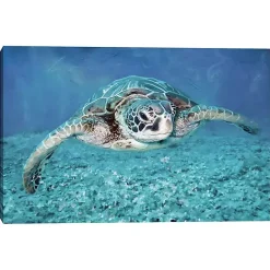 Online Kirklands Home Vibrant Sea Turtle Canvas Art Print