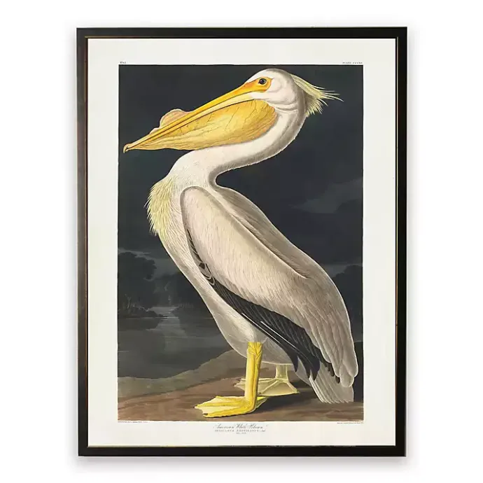 Best Kirklands Home Vintage American White Pelican Framed Art Print