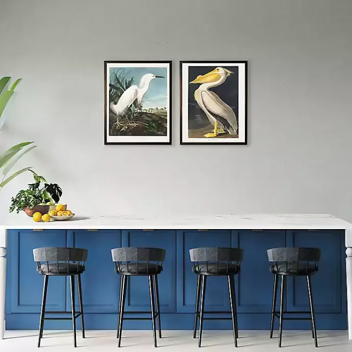 Best Kirklands Home Vintage American White Pelican Framed Art Print