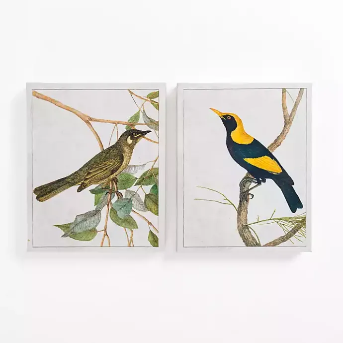 Hot Kirklands Home Vintage Birds Canvas Art Prints, Set of 2