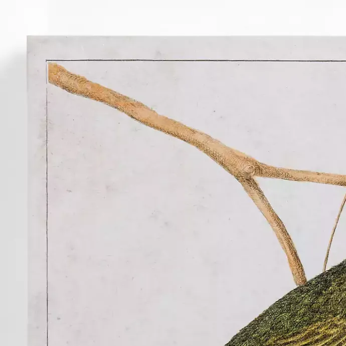 Hot Kirklands Home Vintage Birds Canvas Art Prints, Set of 2