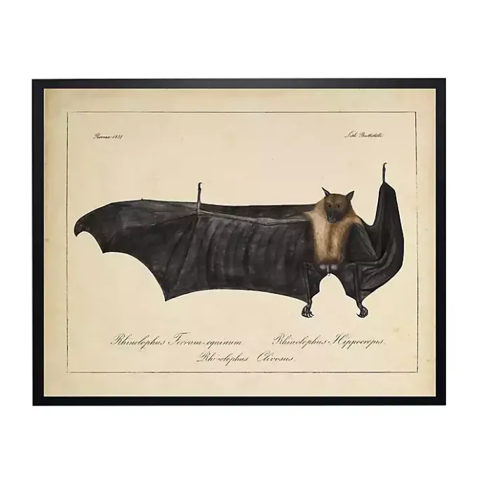 Kirklands Home Vintage Black Bat Halloween Wall Plaque