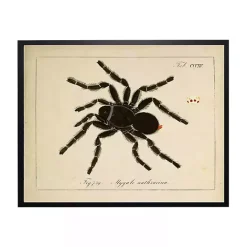 Online Kirklands Home Vintage Black Spider Halloween Wall Plaque