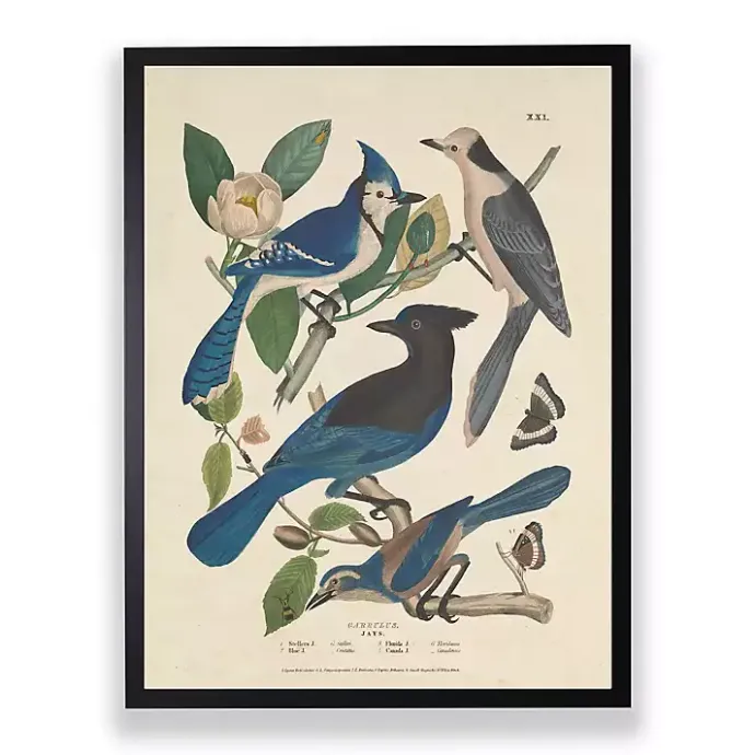 Clearance Kirklands Home Vintage Blue Jays Birds Framed Art Print