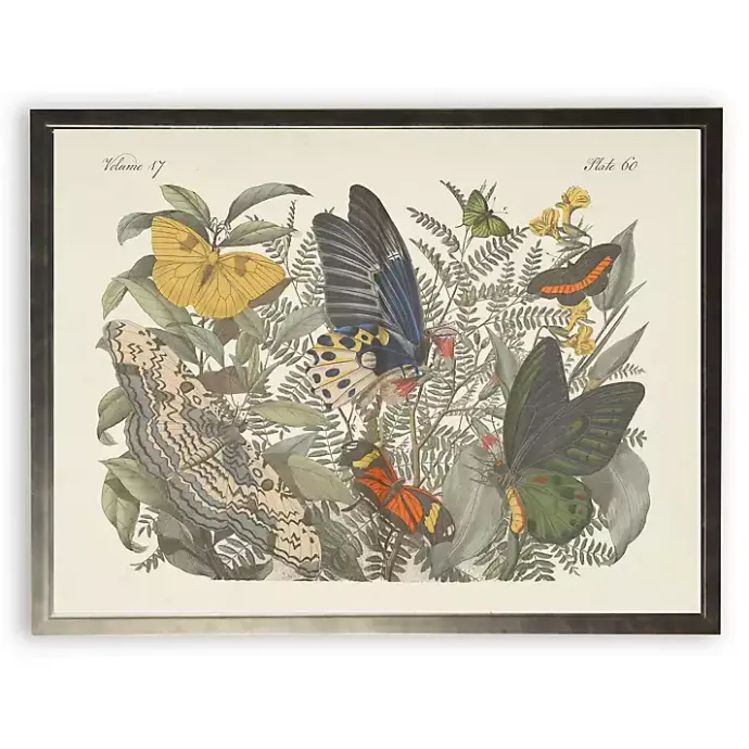 Best Kirklands Home Vintage Butterfly Bookplate Framed Art Print