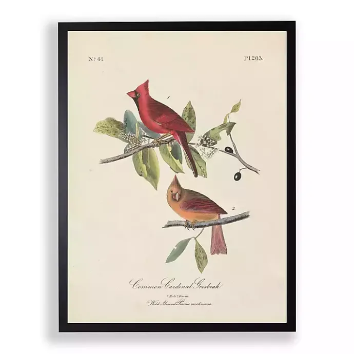 Sale Kirklands Home Vintage Cardinal Birds Framed Art Print