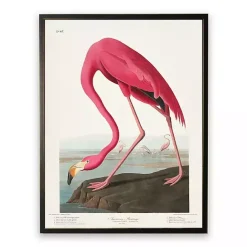 Sale Kirklands Home Vintage Flamingo Bookplate Framed Art Print