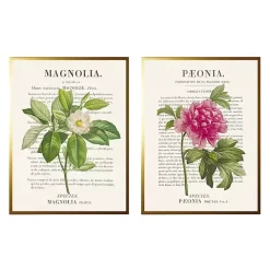 Sale Kirklands Home Vintage Floral Diagram Framed Art Prints, Set of 2