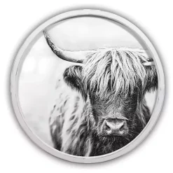 Outlet Kirklands Home Vintage Highland White Framed Art Print