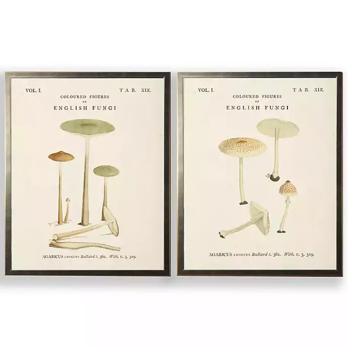 Outlet Kirklands Home Vintage Mushrooms I Framed Art Prints, Set of 2